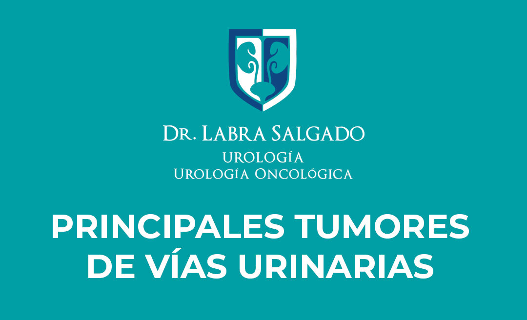 Principales tipos de cáncer en vías urinarias